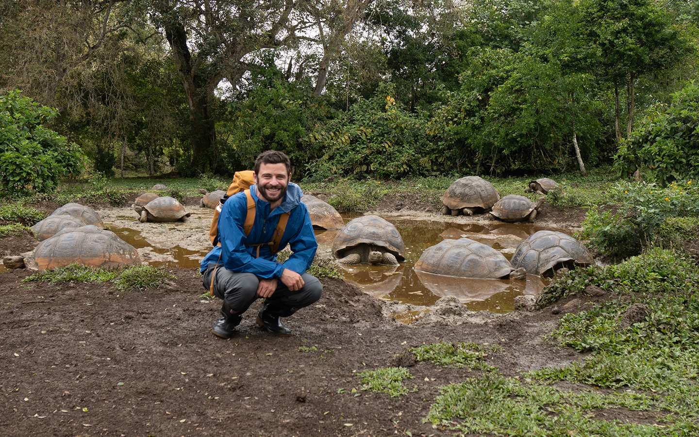 A man in a blue jacket and backpack squats on land in front of a small puddle full of Galapagos tortoises
