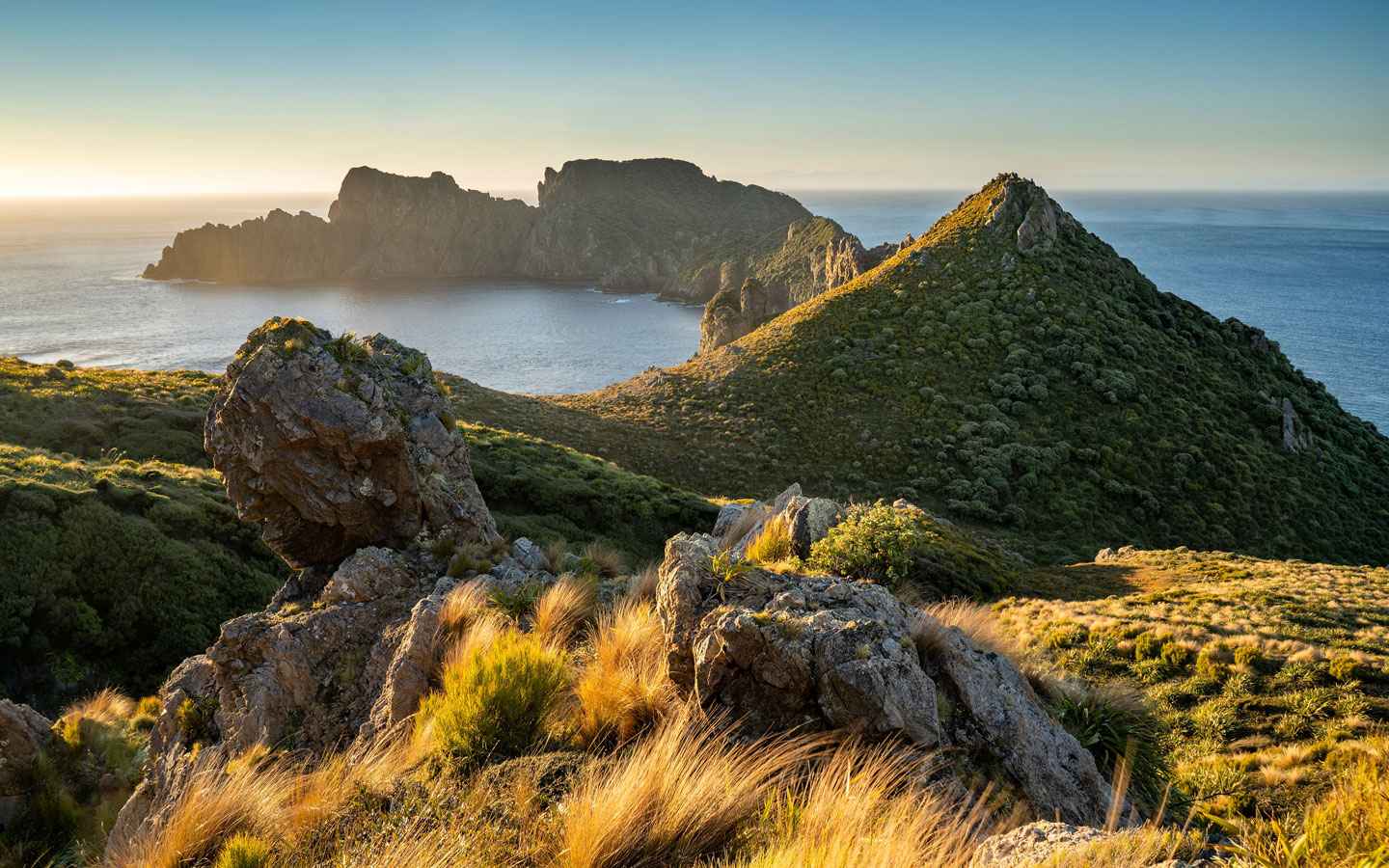 New Zealand cruise coastline seen from a golden, grassy mountaintop among bright green islands with rocky shores.