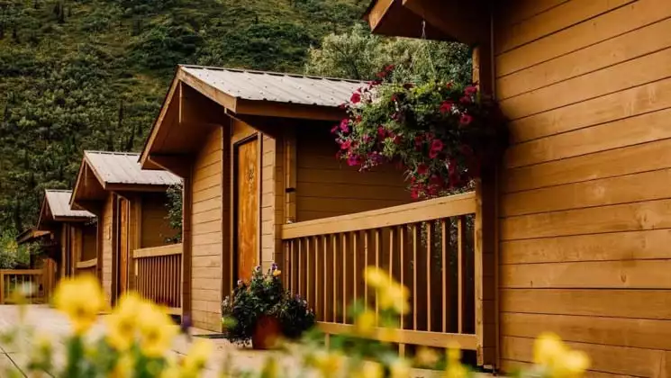 Flowers hanging outside cabin doors at Denali Backcountry Lodge in Kantishna, Alaska