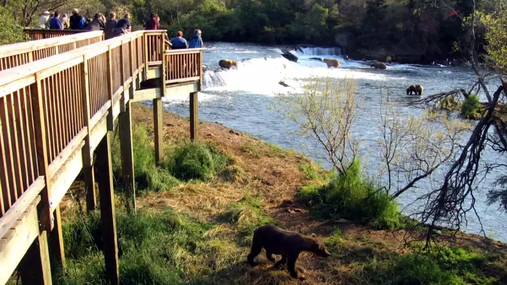 Brooks Falls Observation Platform. Photo by: Melissa Ackerman