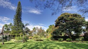 Lawn and garden with trees and plants outside Hotel Bougainvillea near San Jose, Costa Rica
