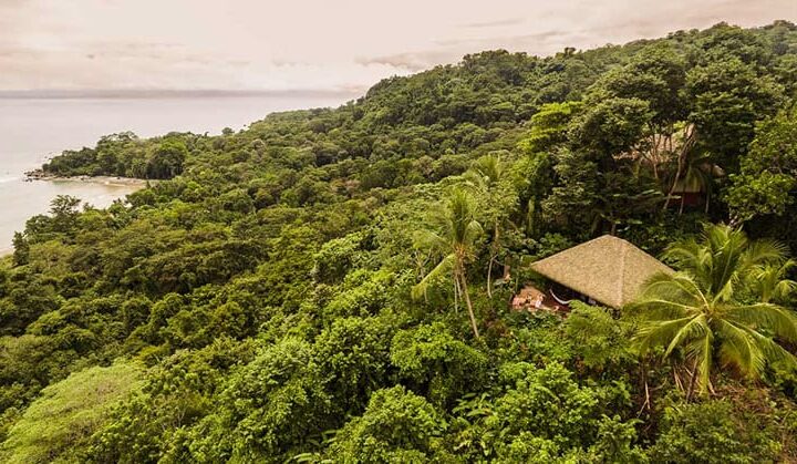 The lodge tucked in the jungle over looking the ocean.