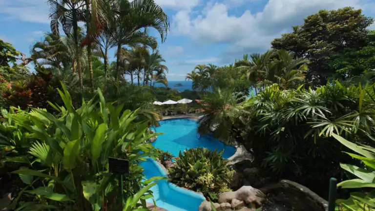 A pool glimmers between lush gardens and trees at Si Como No, a sustainable boutique hotel on Costa Rica's Pacific Coast.
