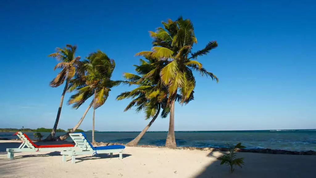 The view from a Standard Cabana