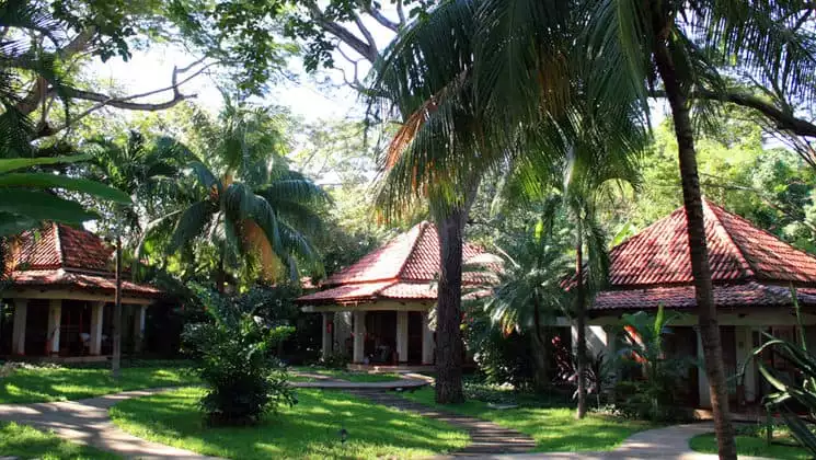 Several thatched-roof bungalows dot the lush grounds with palm trees at Hotel Capitán Suizo at Playa Tamarindo, Costa Rica