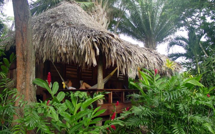 A cabin with a thatched roof and covered patio is nestled in the dense jungle at Lamanai Outpost, a sustainable eco-lodge in Belize