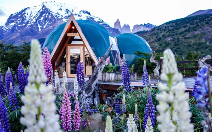 A dome adventure lodge with mountains in the background and colorful lupin in the foreground.
