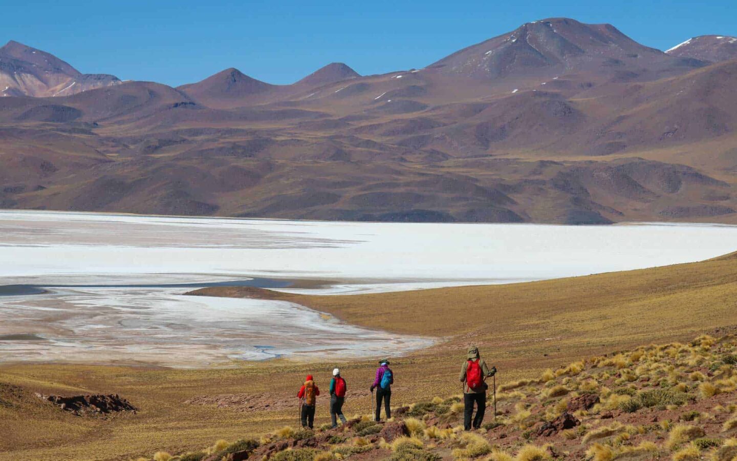 group of adventure travelers treks in chile across a field with snow in front of them and large mountains in the distance