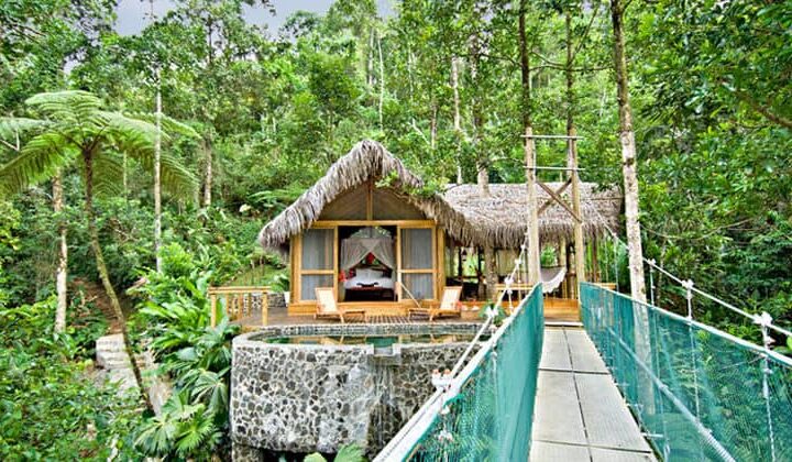 A suspension bridge 60 feet above the jungle floor leads to a suite called The Nest at the Pacuare Lodge, a sustainable hotel in Costa Rica