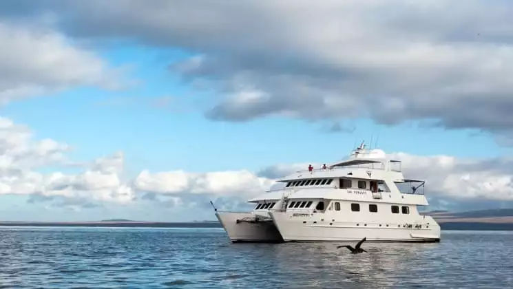 Pelican flying by port side of Seaman Journey catamaran in the Galapagos Islands