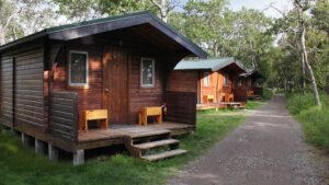 Rustic lakefront cabins line a dirt path with trees at the Brooks Lodge in Alaska