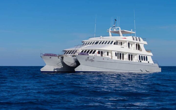 Small ship Alya cruising through the blue water of the Galapagos.