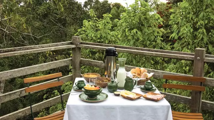 Canopy Tree House at Inkaterra Reserva Amazonica. Photo by: Inkaterra