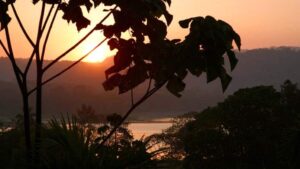 A sunset over the water with silhouetted trees and orange skies and water..