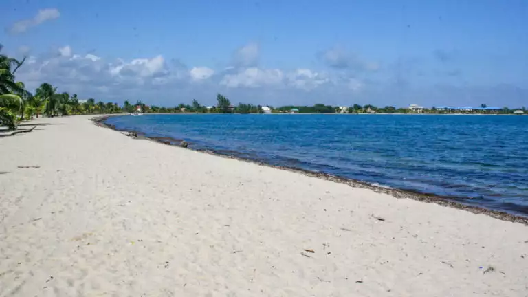 A long stretch of a white-sand beach with palm trees and a dark blue ocean.