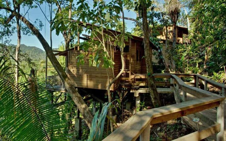 Caves Branch Jungle Lodge perched in the canopy with epic jungle views in Belize