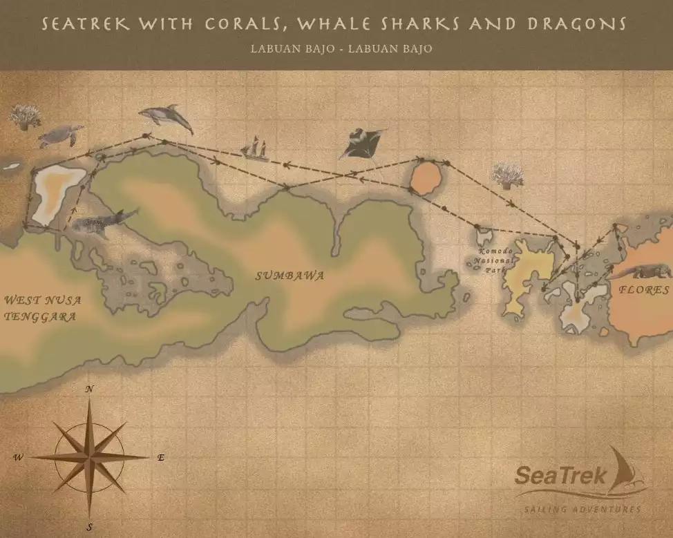 A sepia toned route map showing the path of an expedition cruise roundtrip from Flores west to close to Bali