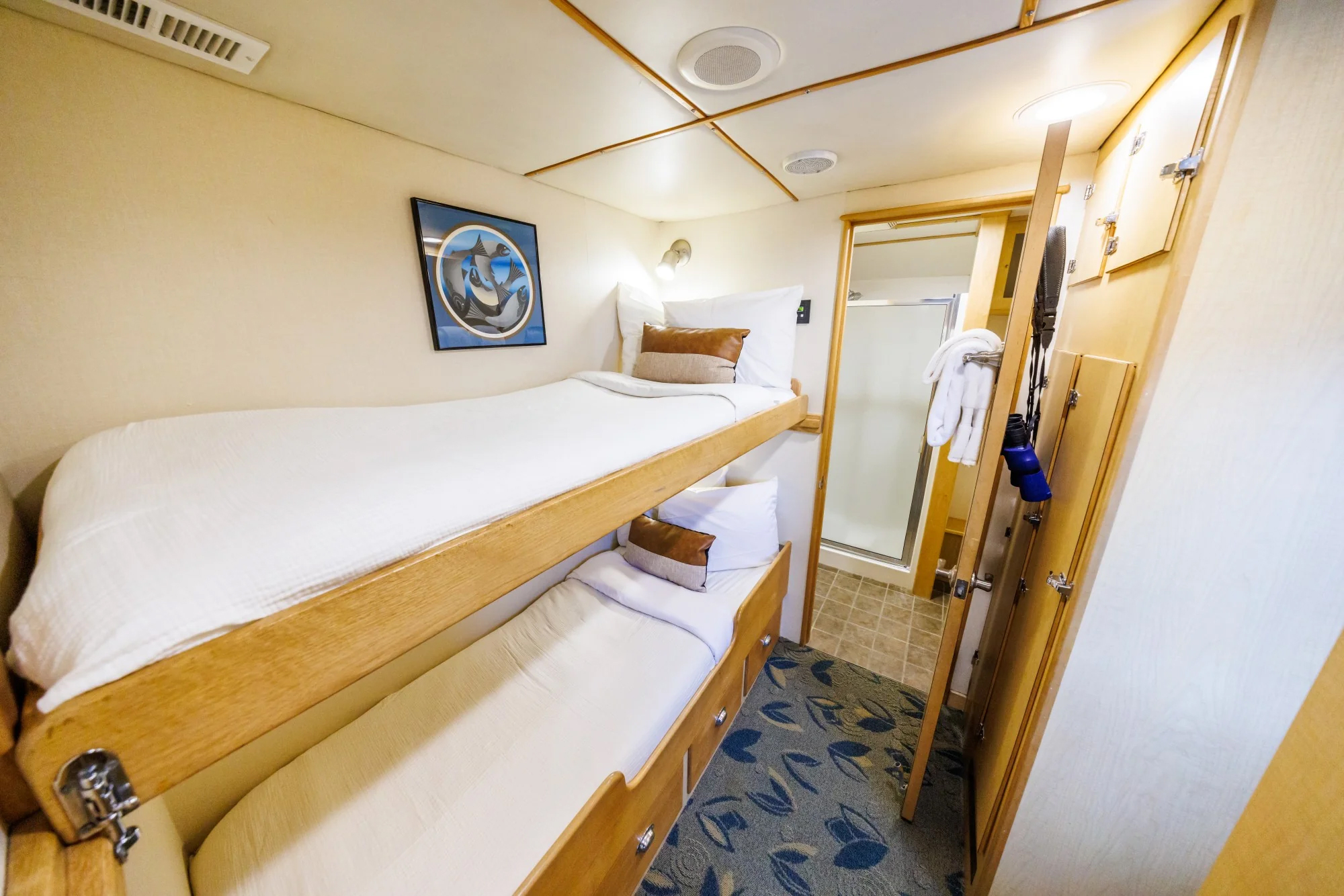 single cabin aboard the Safari Quest Alaska small ship, with bunk beds and a door leading into the bathroom