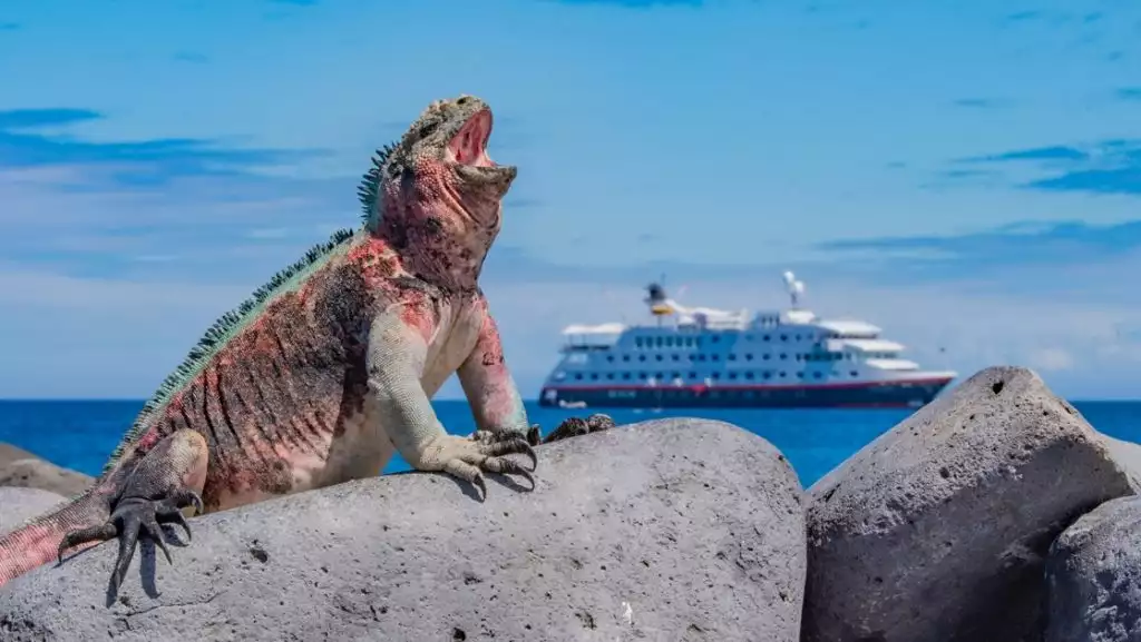 Photo credit: © Dennis Ballesteros/Hurtigruten Expeditions