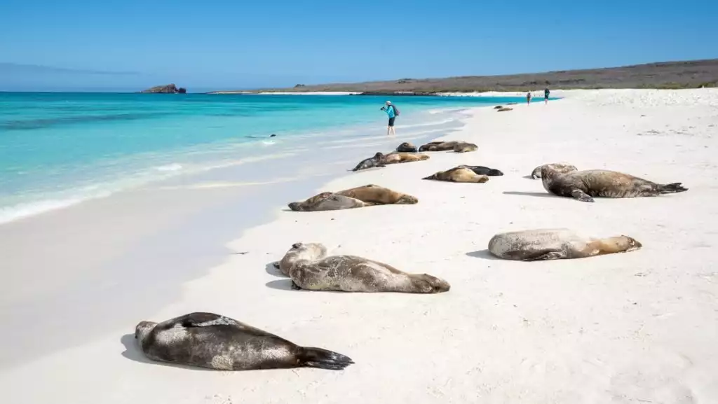 Photo credit: © John Chardine/Hurtigruten Expeditions