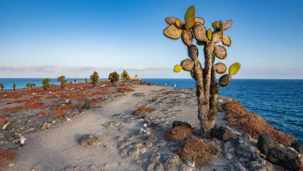 Photo credit: © John Chardine/Hurtigruten Expeditions