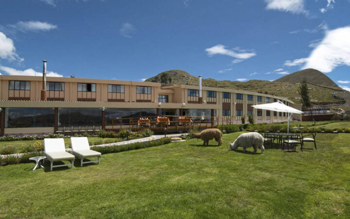 Llamas and white lawn chairs on green grass in front of Sonesta Posada del Inca Lake Tiiticaca, a traditional hotel in the Andes