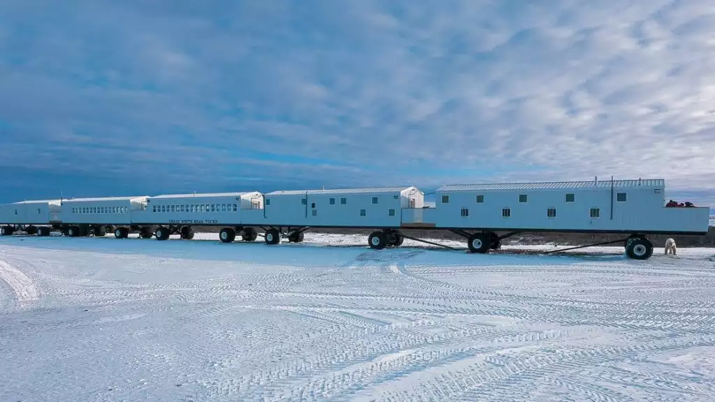 The Tundra Lodge on wheels on a flat snow covered landscape in the Canadian Arctic on a cloudy day with one polar bear nearby.