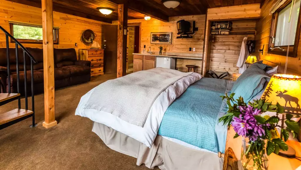 Kittiwake Cabin at Tutka Bay Lodge