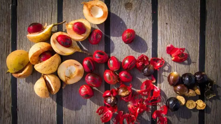 Local fruit and spices from the Indonesian islands on a wooden table