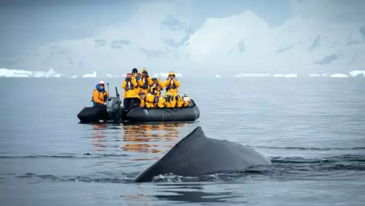 Photo by: Acacia Johnson/Quark Expeditions