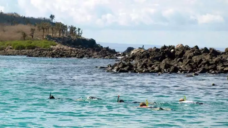 guests from the sea star journey luxury cruise ship go on a snorkeling excursion in a bay near the Galapagos islands