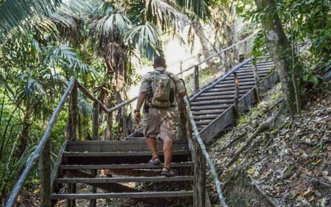 A Belize traveler walking up a set of stairs in the jungle.