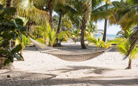 A beach with a hammock and light sand and lots of palm trees.