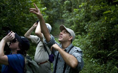 travelers with binoculars look and point upwards in the jungle on the best of panama land tour