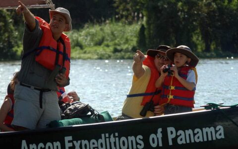 travelers point and take pictures during a jungle boat cruise on the panama family adventure land tour