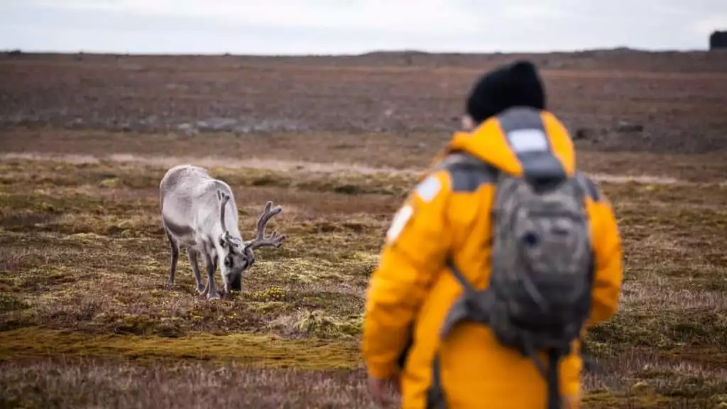 Photo By: Acacia Johnson / Quark Expeditions