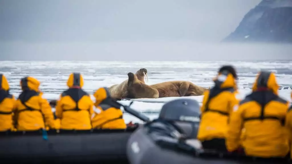 Photo By: Acacia Johnson / Quark Expeditions