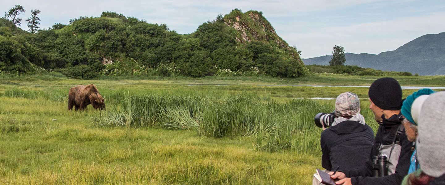 Alaska travelers photographing a coastal brown bear upclose in a meadow with mountains in the background.