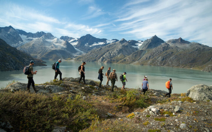 Surrounded by a jagged mountain range a group of cruise guests and a forestry ranger hike the ridgeline above Lamplugh glacier in Alaska.