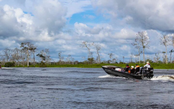 A skiff tour through the Amazon through a swampy channel.