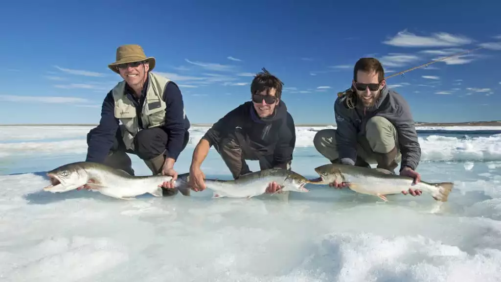 Photo by: Weber Arctic