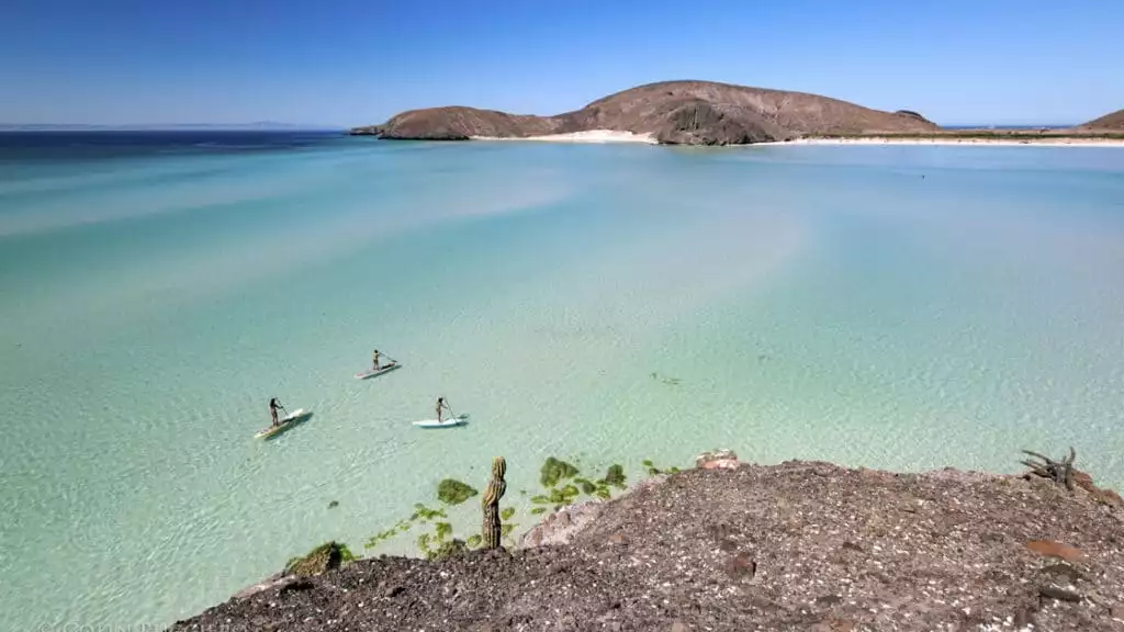 aerial view of three stand up paddle boarders along the coastline of baja california with clear blue water