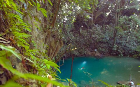 The Blue Hole in Belize with a swimmer in the turquoise water and green foliage surrounding it.