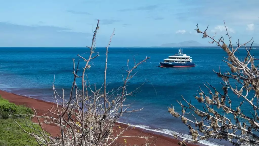 Trimaran with blue hull & white upper decks sits off shore of a red-sand beach during the Horizon Galapagos cruise.