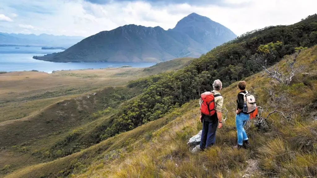 Man & woman stand on a hillside in tall, burnt grass while hiking, overlooking the coast on a Tasmania small ship cruise.