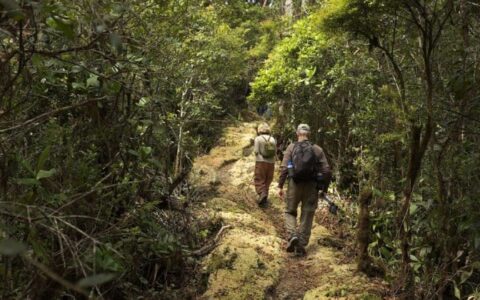two hikers on jungle path on costa rica coast to coast trip