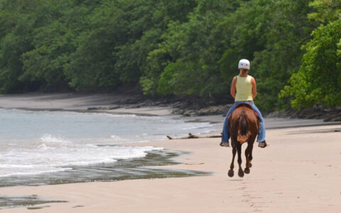 Girl in white helmet, yellow tank top & jeans rides a brown horse on the beach beside lush rainforest on the Costa Rica Family Adventure.