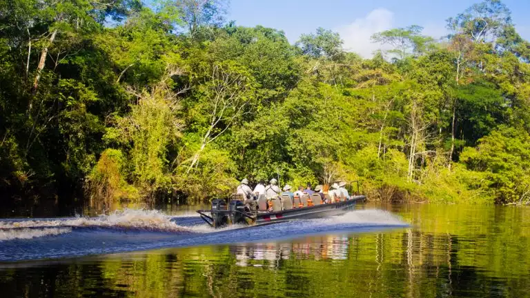 A skiff tour moves along the jungle sights in the Amazon jungle while with the Delfin I Amazon River Cruise in Peru