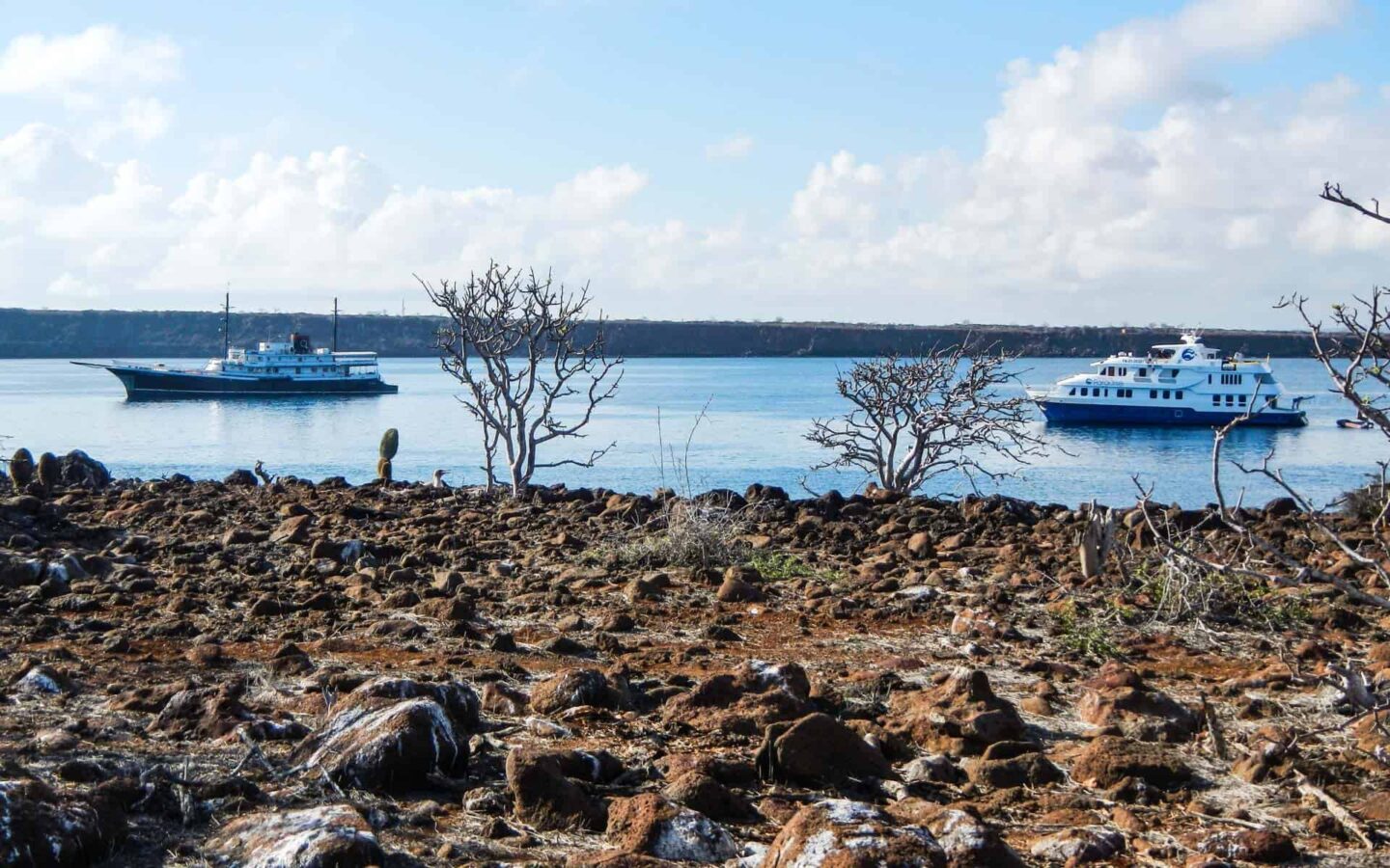 Two Galapagos small ships sailing in in a channel following one another with a rocky shore in the foreground.