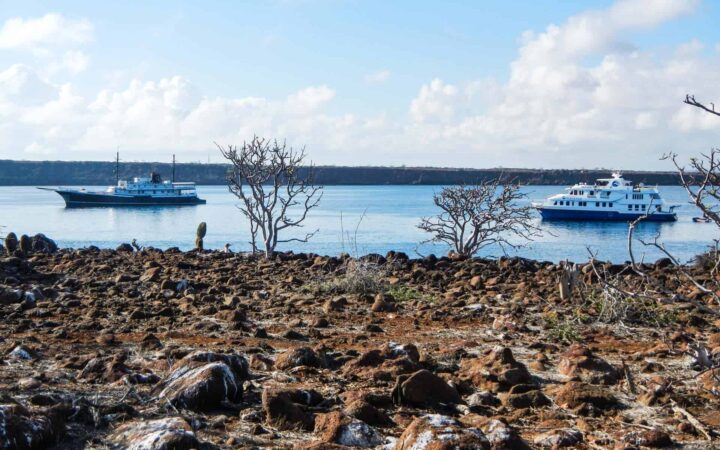 Two Galapagos small ships sailing in in a channel following one another with a rocky shore in the foreground.